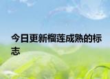 今日更新榴蓮成熟的標(biāo)志