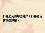 科特迪瓦有哪些特產(chǎn)（科特迪瓦有哪些球星）