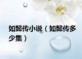 如懿傳小說（如懿傳多少集）