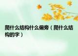 爬什么結(jié)構(gòu)什么偏旁（爬什么結(jié)構(gòu)的字）