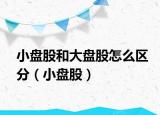 小盤股和大盤股怎么區(qū)分（小盤股）