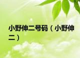 小野伸二號碼（小野伸二）