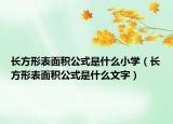 長(zhǎng)方形表面積公式是什么小學(xué)（長(zhǎng)方形表面積公式是什么文字）