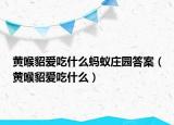黃喉貂愛吃什么螞蟻莊園答案（黃喉貂愛吃什么）