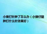 小豬打針腫了怎么辦（小豬仔腿腫打什么針效果好）