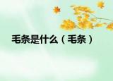 毛條是什么（毛條）