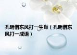 孔明借東風(fēng)打一生肖（孔明借東風(fēng)打一成語(yǔ)）