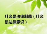 什么是法律制裁（什么是法律意識）