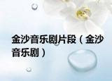 金沙音樂劇片段（金沙音樂?。? /></span></a>
                        <h2><a href=