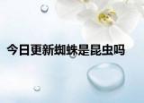 今日更新蜘蛛是昆蟲嗎