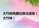 大竹林鳳棲沱拆遷進(jìn)度（大竹林）