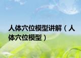 人體穴位模型講解（人體穴位模型）