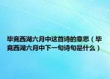 畢竟西湖六月中這首詩的意思（畢竟西湖六月中下一句詩句是什么）