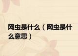網蟲是什么（網蟲是什么意思）
