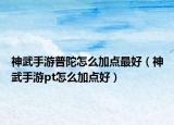 神武手游普陀怎么加點最好（神武手游pt怎么加點好）