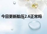 今日更新胎壓2.6正常嗎