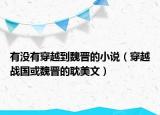 有沒有穿越到魏晉的小說（穿越戰(zhàn)國或魏晉的耽美文）