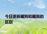 今日更新藏狗和藏獒的區(qū)別