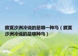寂寞沙洲冷說的是哪一種鳥（寂寞沙洲冷說的是哪種鳥）