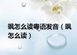 颯怎么讀粵語發(fā)音（颯怎么讀）