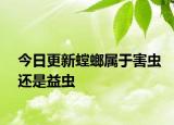 今日更新螳螂屬于害蟲還是益蟲