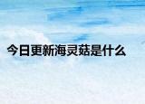 今日更新海靈菇是什么