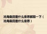 滄海桑田是什么意思解釋一下（滄海桑田是什么意思）