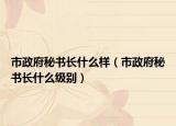 市政府秘書長什么樣（市政府秘書長什么級別）