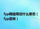 fyp網(wǎng)絡(luò)用語(yǔ)什么意思（fyp是啥）