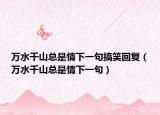 萬水千山總是情下一句搞笑回復（萬水千山總是情下一句）