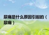 尿痛是什么原因引起的（尿痛）