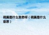 調(diào)羹是什么意思呀（調(diào)羹是什么意思）