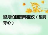 望月怕團(tuán)圓韓寶儀（望月芽心）