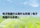 電子狗是什么有什么作用（電子狗是什么東西）