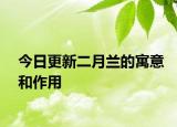 今日更新二月蘭的寓意和作用