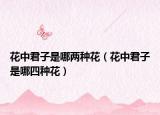 花中君子是哪兩種花（花中君子是哪四種花）