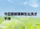 今日更新豬肺怎么洗才干凈