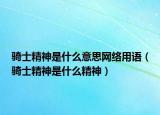 騎士精神是什么意思網(wǎng)絡(luò)用語(yǔ)（騎士精神是什么精神）
