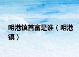 明港鎮(zhèn)首富是誰（明港鎮(zhèn)）
