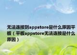 無法連接到appstore是什么原因平板（平板appstore無法連接是什么原因）