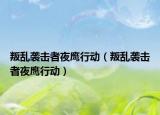 叛亂襲擊者夜鷹行動（叛亂襲擊者夜鷹行動）