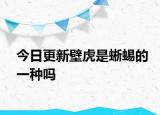 今日更新壁虎是蜥蜴的一種嗎