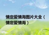 情定愛(ài)情海圖片大全（情定愛(ài)情海）