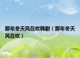 那年冬天風(fēng)在吹韓?。悄甓祜L(fēng)在吹）