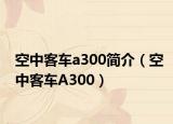 空中客車a300簡介（空中客車A300）
