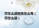 荇怎么讀拼音怎么寫（荇怎么讀）