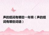 聲的組詞有哪些一年級（聲的組詞有哪些詞語）