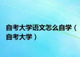 自考大學(xué)語文怎么自學(xué)（自考大學(xué)）