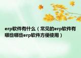 erp軟件有什么（常見的erp軟件有哪些哪些erp軟件方便使用）