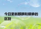 今日更新麒麟和貔貅的區(qū)別